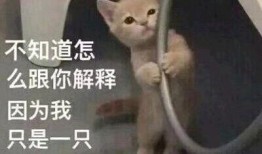 老四娱乐吃瓜,揭秘娱乐圈那些不为人知的幕后故事